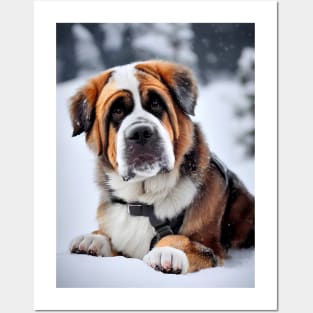 Cute st Bernard dog Posters and Art